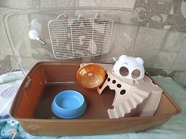 3д сетки: Клетка . террариум . в отличном состоянии размеры : длина 53 ширина — 10