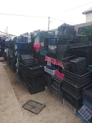 зеленый городок: Пластиковый Ящик — 1