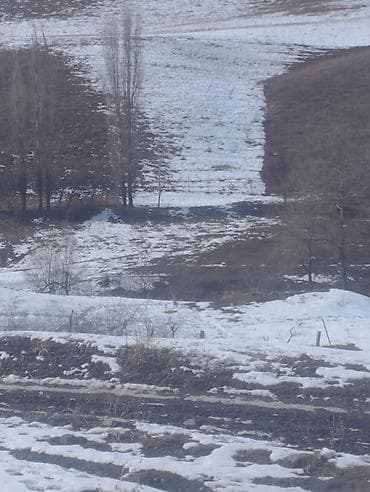 продаю дом бишкек кок жар: 150 соток, Айыл чарба үчүн, Кызыл китеп — 8