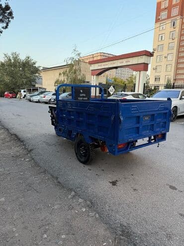 мото квадрацикл: Мотороллер муравей Электро, 60 км, 1000 - 1499 кг, Б/у — 7