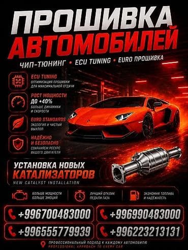 Транспорт: Прошивка ЭБУ EURO2, Stage 1 для всех автомобилей - Чип-тюнинг под — 3