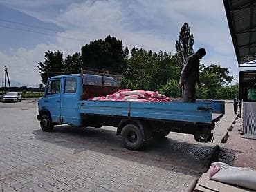 Автоуслуги: Заказать Мерседес Гигант, C грузчиком — 1