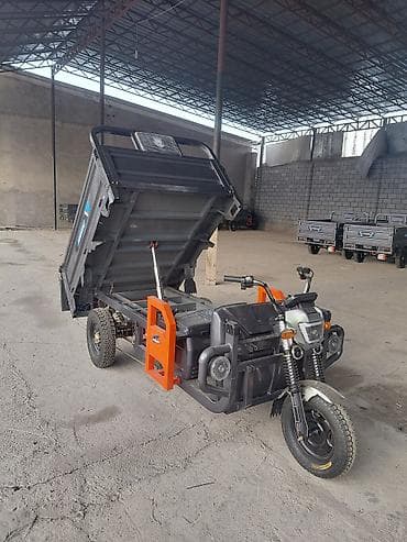 электро трицыкл: Мотороллер муравей Электро, 70 км, 1500 кг и более, Новый — 1