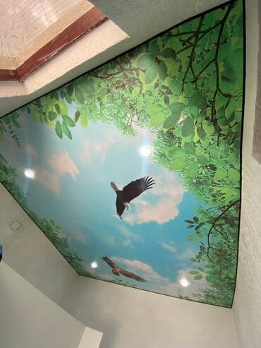 швабра для потолка: Натяжной потолок 3D потолки, Глянцевое, Матовое Монтаж, Бесплатная консультация, Бесплатный замер — 21