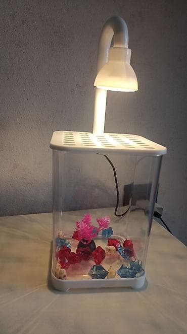 коралловый диск: Компактный настольный аквариум с LED‑подсветкой - Прозрачный — 1