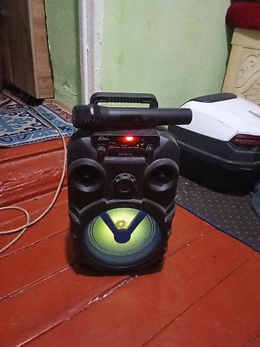 Портативная акустическая система с микрофоном - Модель на панели