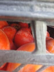 ведро эмалированное с крышкой 10л цена бишкек: Хурма в ящиках - Сорт: крупноплодная хурма (не вяжет при полной — 20