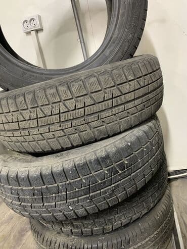 шины на мтз: Шины — 1
