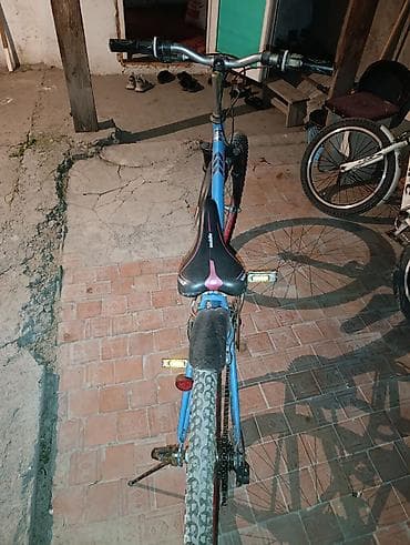 shark moto: Горный велосипед, Рама M (156 - 178 см), Сталь — 3