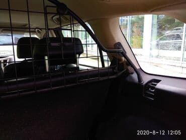 купить золотистого ретривера: Решетка для Собак в Багажник Subaru Outback BR Оригинальная из Европы — 9