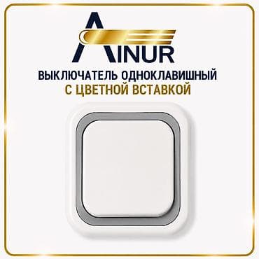 Выключатель одноклавишный с цветной вставкой ( 250-В, 50- Гц, 6-А)