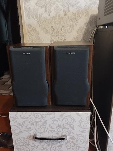 samsung tablet: Высококачественная акустическая система Aiwa SX-LM50 (пара), цена — 2