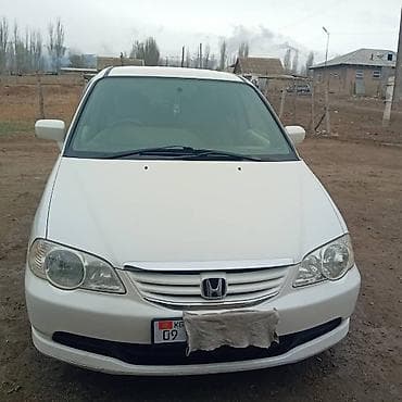 odyssey absolute: Honda Odyssey: 2003 г., 2.3 л, Автомат, Газ, Минивэн — 2