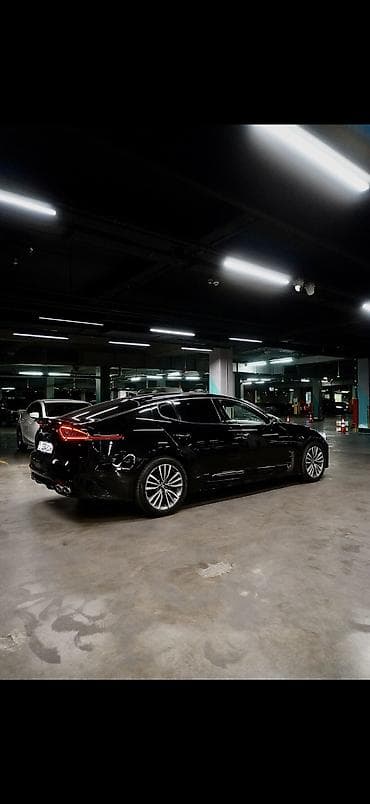 byd plus: Kia Stinger: 2019 г., 2 л, Автомат, Бензин, Лифтбек — 4