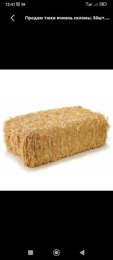 корма для бройлеров: Тюки ячменной соломы - Культура: ячмень, прессованная солома в — 1