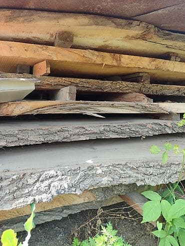 ротанга ротанг: Продаю дуб Разной длины, Ширина 6см Находится в г. Токмок, Цена — 4