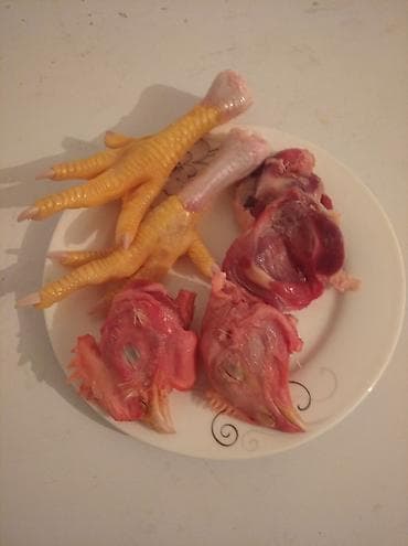 Продаю куринные -печень,желудак, лапки, и гоова 💯халал в Арча-Бешике at lalafo.kg Продаю куринные -печень,желудак, лапки, и гоова 💯халал в Арча-Бешике