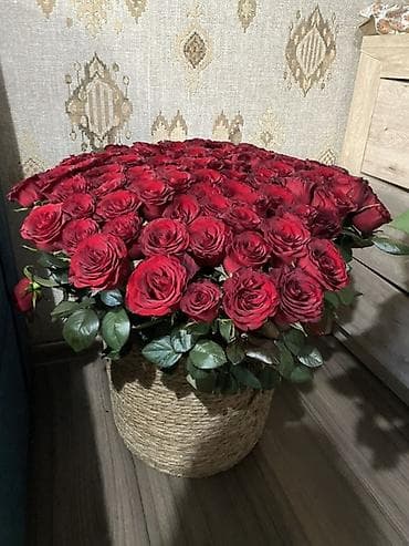 17.03.26 получила 8 часов вечера свежие - Состав: крупные