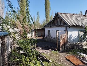 сосновке: 13 соток, Для строительства, Красная книга — 2