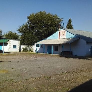 Коммерческая недвижимость: Сдается в долгосрочную аренду крупная животноводческая ферма — 6