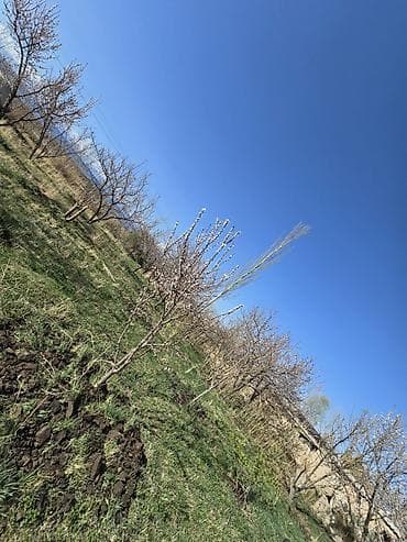 Питомник растений, 5 соток, Не действующий, Электричество