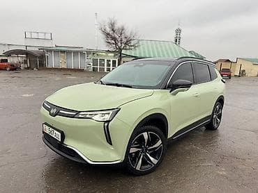 Weltmeister: Weltmeister W6, 2022 г., 66000 км, Передний — 1