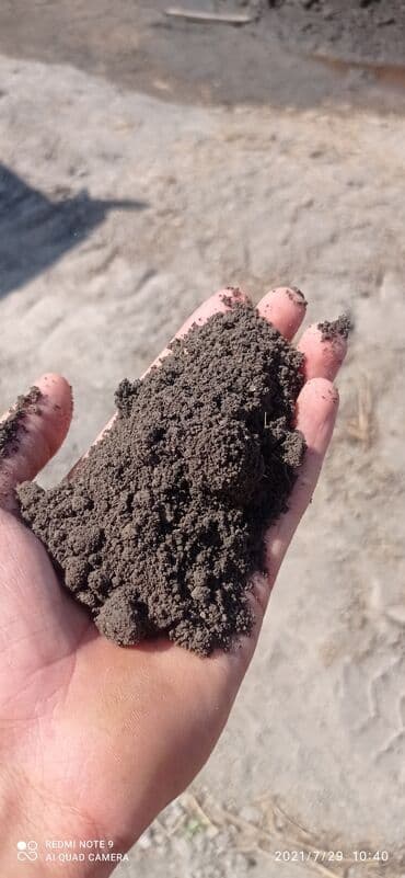 газон купить: В тоннах, Бесплатная доставка, Зил — 2