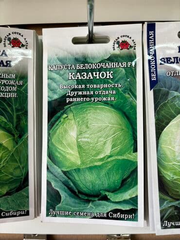 морковь семена: Семена капусты «Колобок» «Амагер 611» «Московская Поздняя 15» «Слава — 7