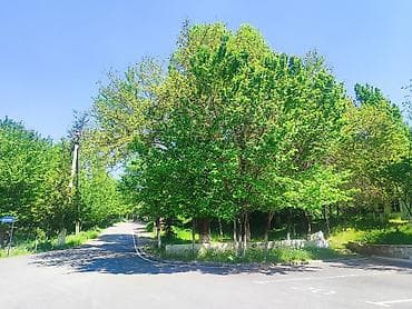 резка стекла цена: Продается в г. Манас в курортном районе! срочная цена без торга 650 — 4