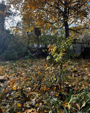 куплю дом на панораме: Дача, 113 кв. м, 4 бөлмө, Менчик ээси — 6