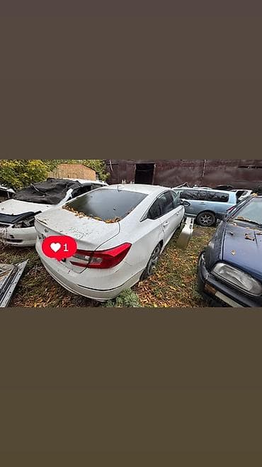 jaguar xe: Honda Accord: 2020 г., Седан — 2