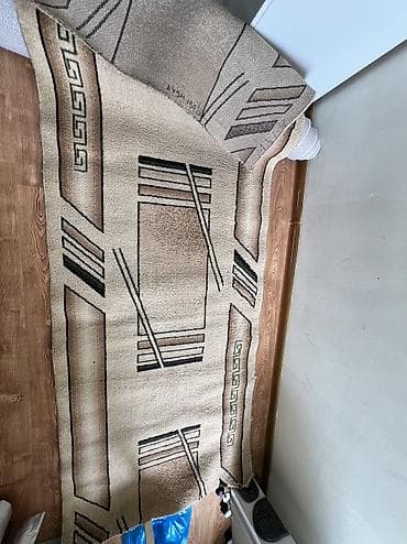 Ковры и паласы: Ковер 300 * 200 — 5
