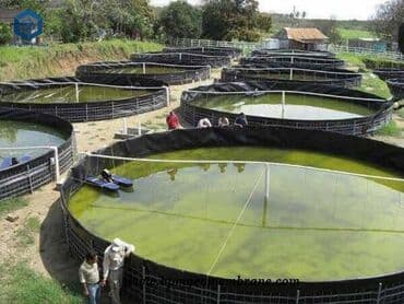 охрана керек: ОсОО "Бату Групп" - ваш надежный партнер ! Мы создаем будущее — 2