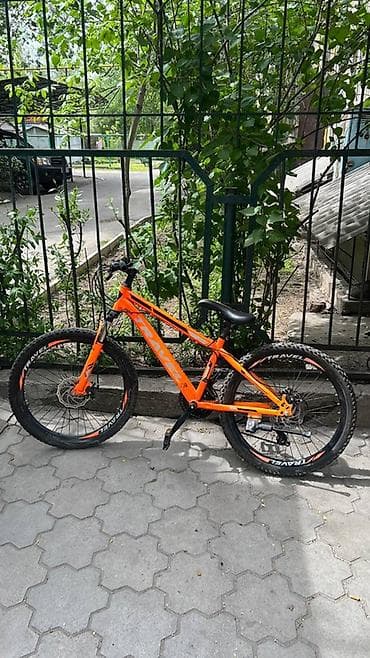 Балдар үчүн велосипеддер: Өспүрүм балдар үчүн велосипед, Колдонулган — 1