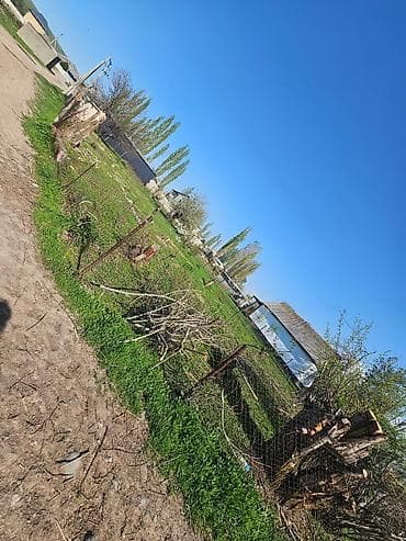 продажа земли сельскохозяйственного назначения: 6 соток, Для бизнеса, Красная книга — 4