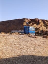 продажа щенков немецкой овчарки с документами в бишкеке: Саман туктор плотный чоон чоон метровый таза аппак. с доставкой выше — 4