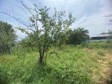 кудайберген дом продается: Дом, 20 м², 7 комнат, Собственник, Старый ремонт — 6