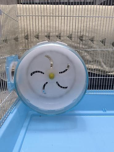 Мыши: Клетка большая для грызунов (идеально для сирийских хомяков) - — 3