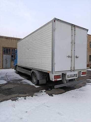 питака чехлы: Грузовик, Mercedes-Benz, Стандарт, Б/у — 5
