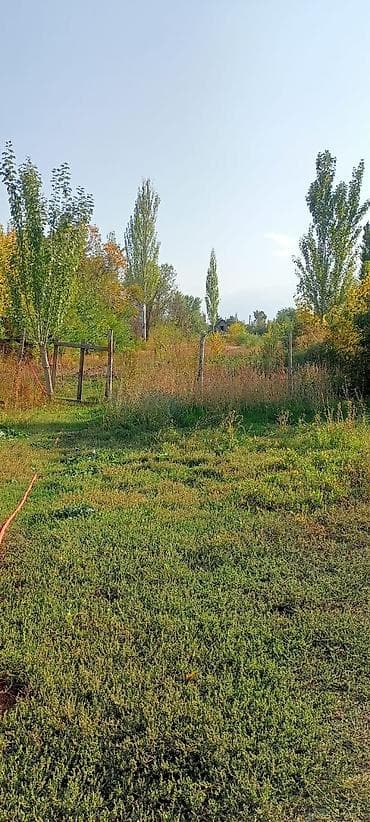 продажа коммерческого помещения: Продаётся дом с действующим магазином.находится в селе вознесеновка,ул — 6