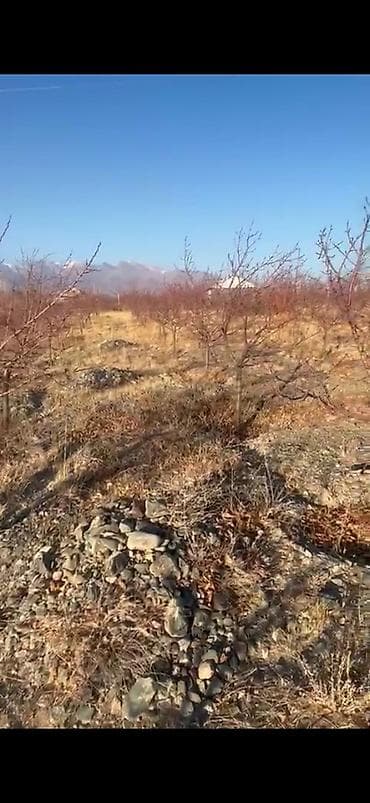 строим дом: 15 соток, Для бизнеса, Красная книга — 8