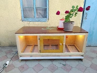 инкубатор курицы: Готовое решение! Брудер Цыплятам, Брудеры Суточным, кучинские — 2