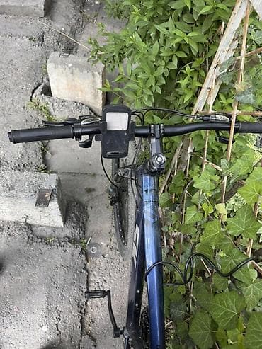 Велосипеддер: Тоо велосипеди, Skillmax, Велосипед алкагы L (172 - 185 см), Болот, Колдонулган — 2