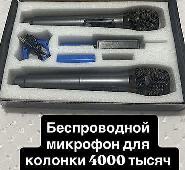 Студийные микрофоны: Студийные микрофоны — 4