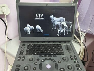 Кислородные концентраторы: Портативный ветеринарный УЗИ-сканер SonoScape E1V - Модель: SonoScape — 2