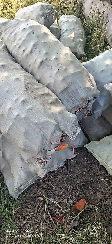 новые мешки: Морковь Оптом — 4