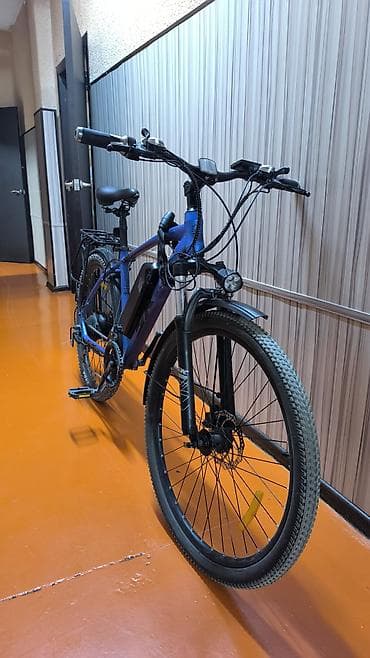 электровелик сколько стоит: Электровелосипед — 4