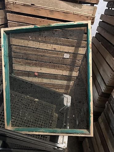 инкубационное: Инкубаторы промышленного типа (многоярусные камеры) Описание: - — 6