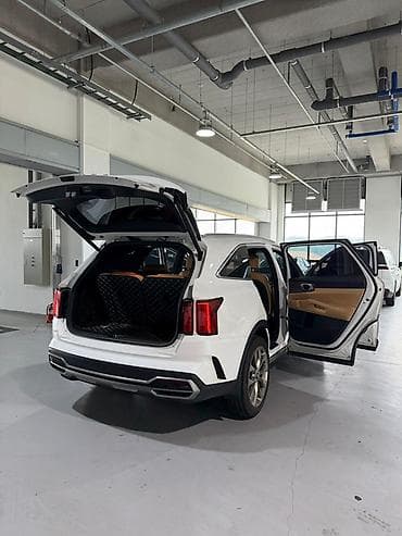 202: Kia Sorento: 2020 г., 2.2 л, Дизель, Кроссовер — 9