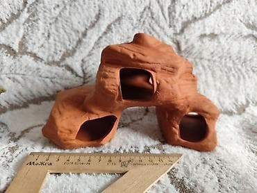 рыбы: Продаю новый домик укрытие для сомов анцитрусов - 500 сом. А также — 1